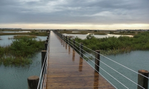 foy-morningwetdock-adj-10×6-web
